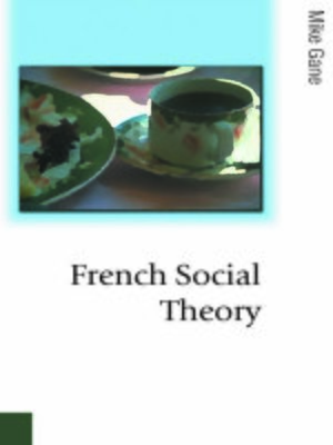cover image of French Social Theory
